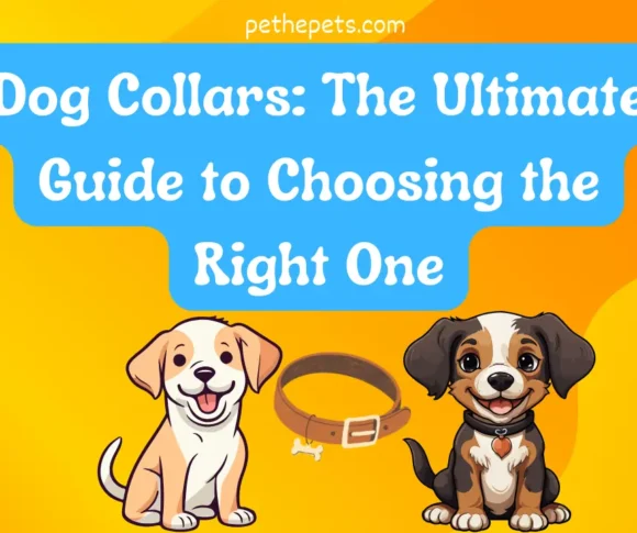 Dog Collars: The Ultimate Guide to Choosing the Right One