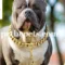 Dog Chain: How to Choose the Right Dog Chain? - 2024